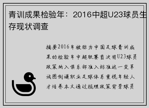 青训成果检验年：2016中超U23球员生存现状调查